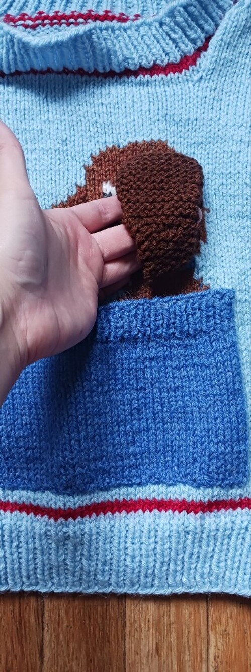 Handknit Puppy Sweater - Picture 2 of 4